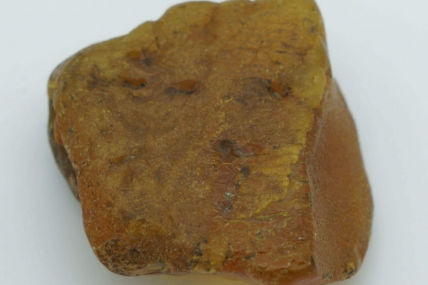 琥珀竟然還能吃？《本草綱目》早有記載，揭秘琥珀粉神奇的藥用價值