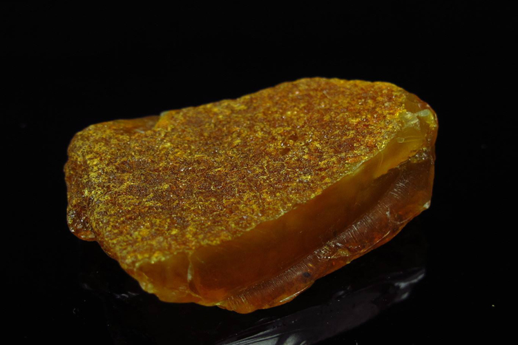海漂蜜蠟是什么？海漂蜜蠟原石圖片欣賞（6）