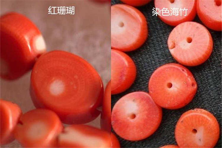 紅珊瑚鑒別，天然紅珊瑚真假對照圖（6）