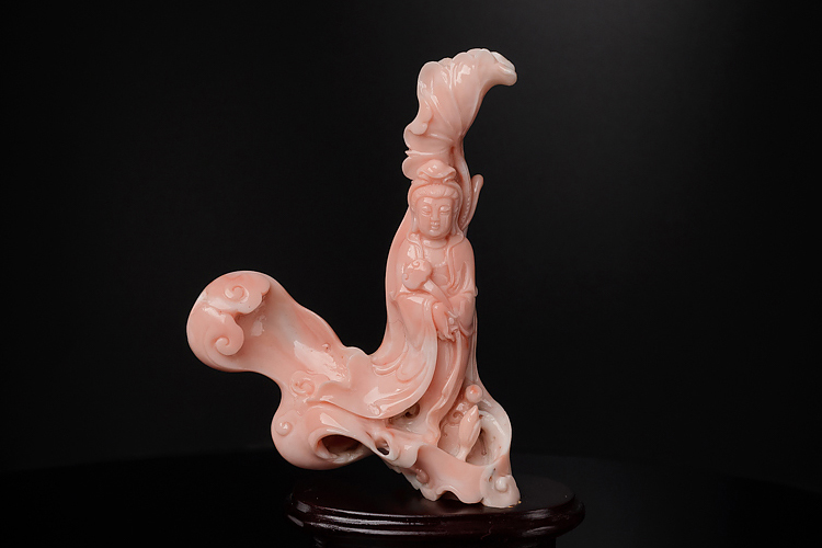 臺(tái)灣紅珊瑚價(jià)格是多少？臺(tái)灣紅珊瑚欣賞（8）