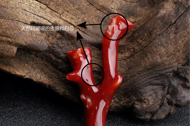 紅珊瑚真假鑒別，天然紅珊瑚真假對(duì)照?qǐng)D（2）