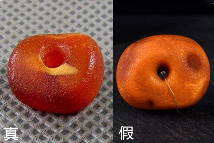 老蜜蠟與再生蜜蠟鑒別對比圖，天然老蜜蠟圖片（5）
