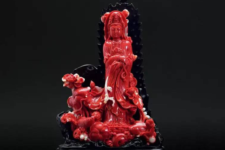 世界頂級紅珊瑚圖片，美輪美奐的紅珊瑚圖片大全（3）