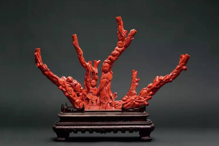 世界頂級紅珊瑚圖片，美輪美奐的紅珊瑚圖片大全（11）