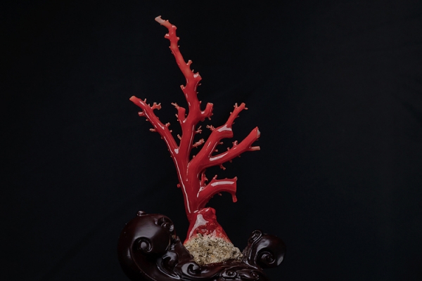 純天然紅珊瑚圖片欣賞，紅珊瑚圖片大全