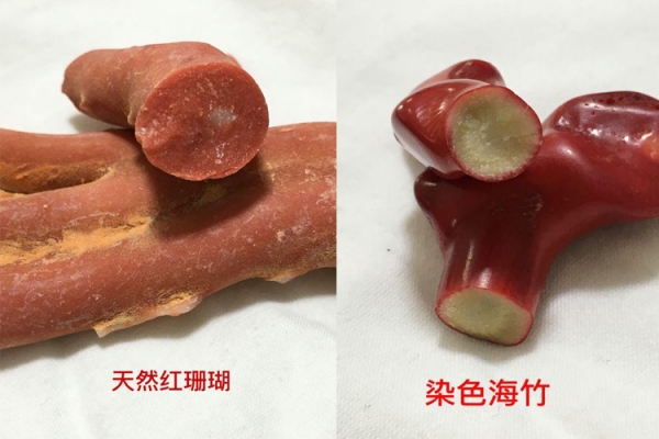真假紅珊瑚比較圖，天然紅珊瑚真假對照圖