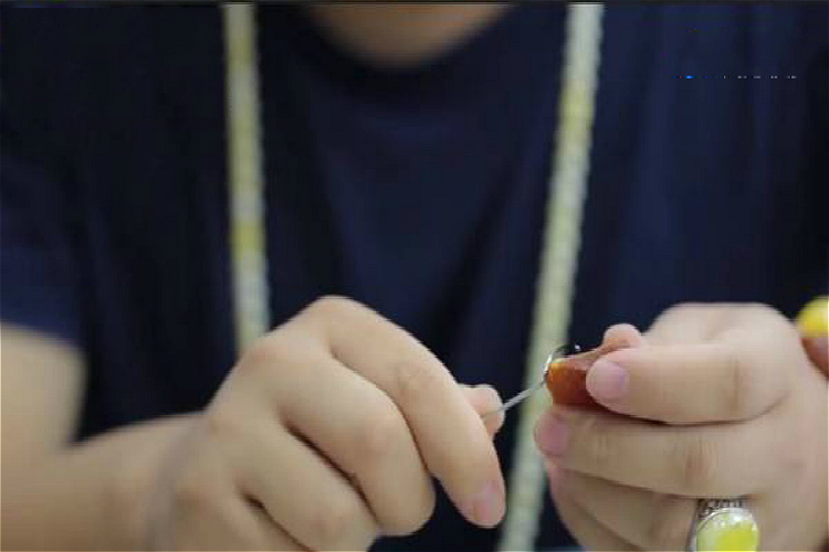 真假琥珀的鑒別圖片，琥珀怎么分辨真假？（6）