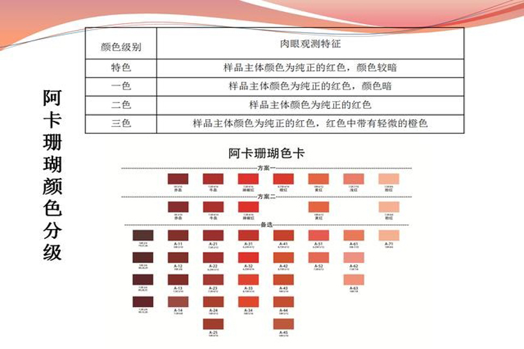 天然紅珊瑚價格受什么因素影響？（2）