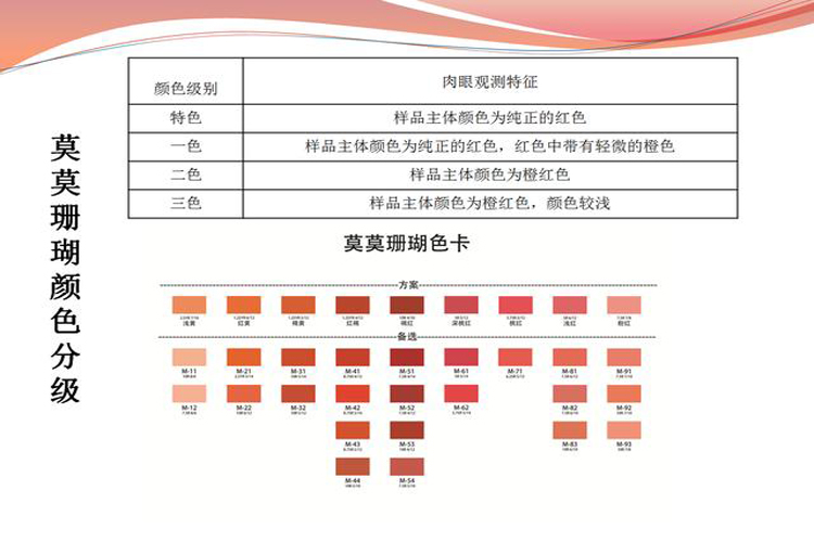 天然紅珊瑚價格受什么因素影響？（3）