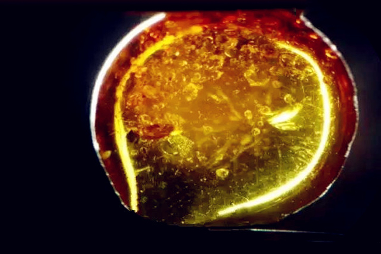 二代琥珀和真琥珀區(qū)別有哪些？如何鑒別二代琥珀？（6）