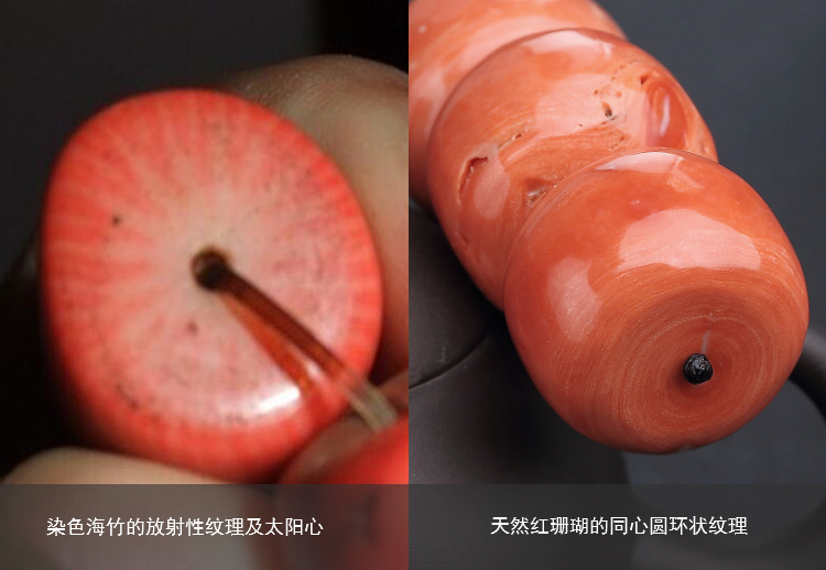 紅珊瑚鑒別方法，各種紅珊瑚仿制品的鑒別（8）