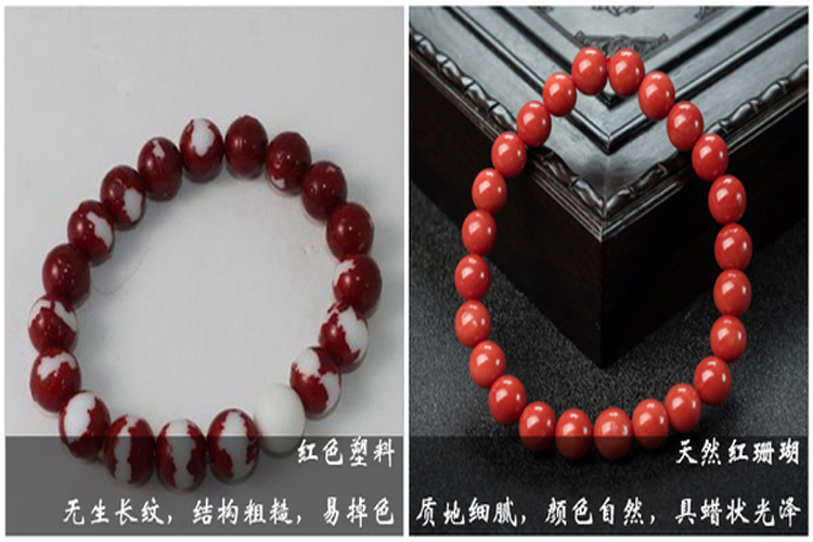 天然紅珊瑚怎么鑒定真假？市場上常見的假紅珊瑚有哪些？（8）