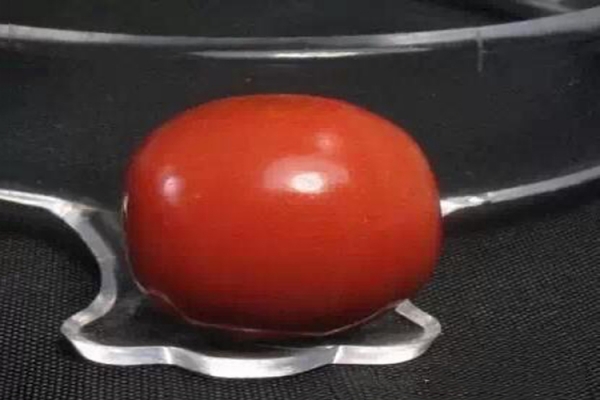 天然紅珊瑚怎么鑒定真假？市場上常見的假紅珊瑚有哪些？
