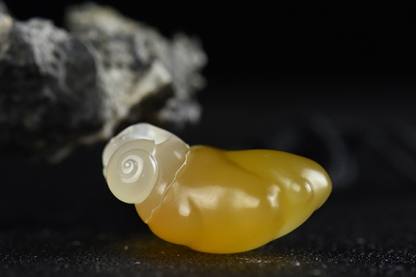 瑪瑙值錢嗎？瑪瑙的市場價格介紹
