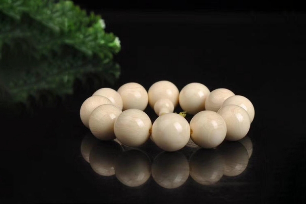 菩提的種類有多少種？這些菩提的種類你都聽說過嗎？