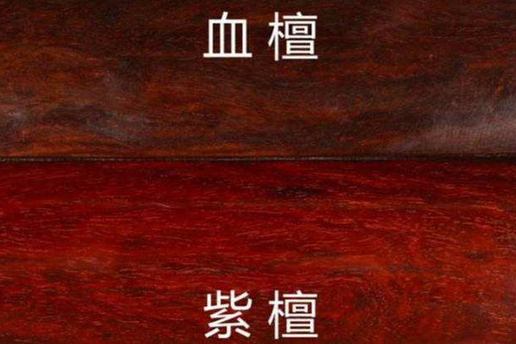 小葉紫檀手串鑒別，如何區(qū)分小葉紫檀與相似木料？（3）