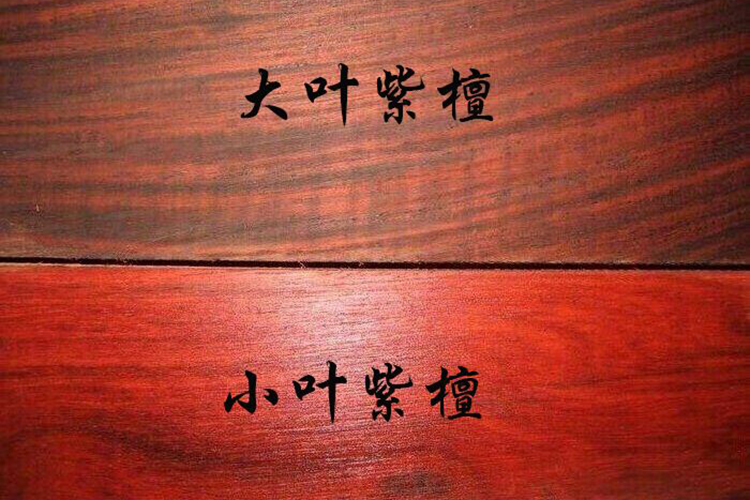 小葉紫檀手串鑒別，如何區(qū)分小葉紫檀與相似木料？（5）