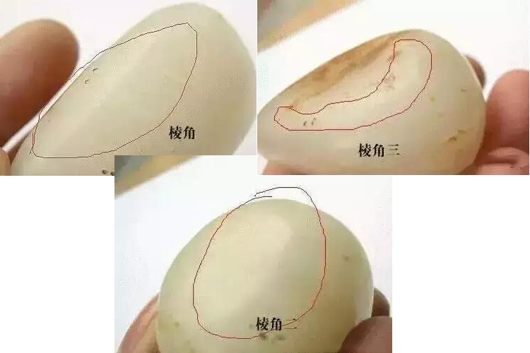 怎樣鑒別玉石原石？翡翠和和田玉的鑒別技巧是什么？（7）