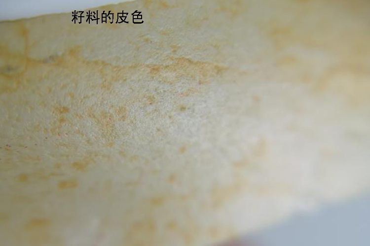 和田玉籽料鑒別方法有哪些？如何鑒別真假和田玉籽料（5）
