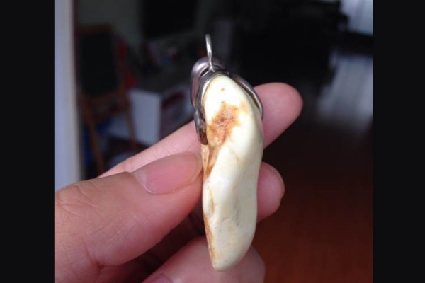 骨珀是白蜜嗎？骨珀和白蜜蠟有何關(guān)系？