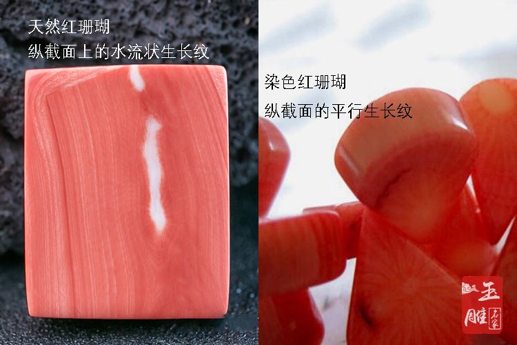 真假紅珊瑚鑒別圖-玉雕名家