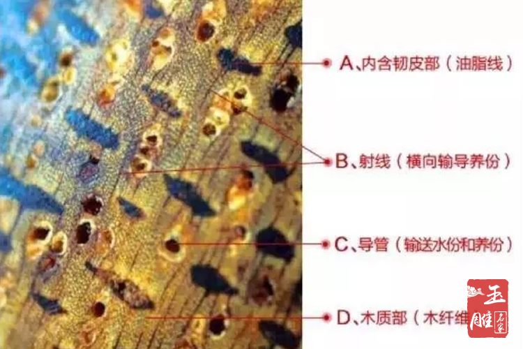 沉香鑒別介紹-玉雕名家