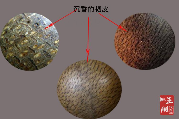 沉香木手串鑒別方法-玉雕名家